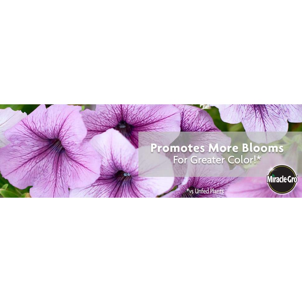 Miracle Gro Water Soluble Bloom Booster Flower Food 1 5 Lbs