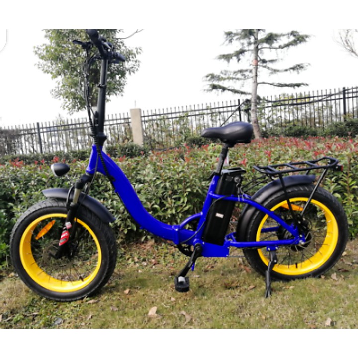 two seater electric bike