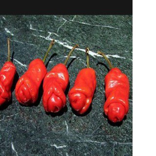 Rare Peter Pepper Seeds