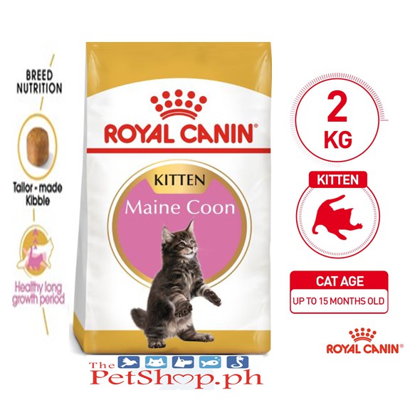 royal canin maine coon 10kg