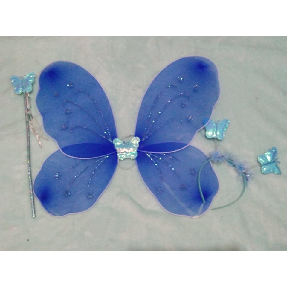 Preloved Blue Fairy Wings Costume Set For Kids Shopee Philippines