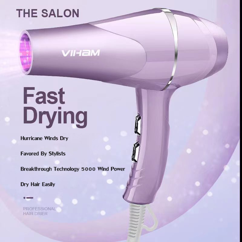 ZDC Household Appliances Professional Hair Dryer Hair Salon Blower Travel Hair  Salon Styler Blower | Shopee Philippines