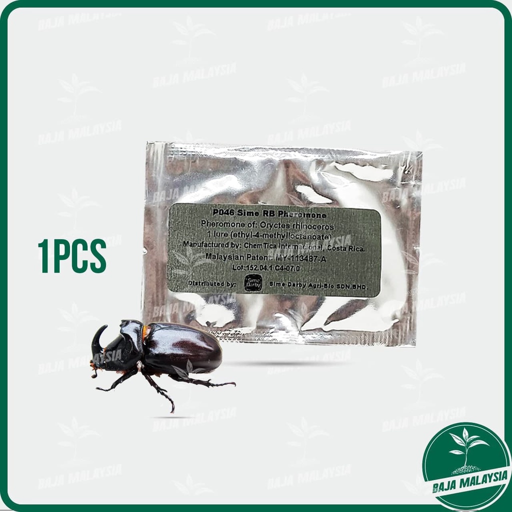 Sime DARBY Pheromone Trapping Rhinoceros Beetle Palm Oil Coconut Garden