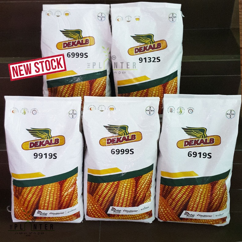 DEKALB Corn Hybrid Seeds 35,000 KERNELS BAYER Crop Science DEKALB