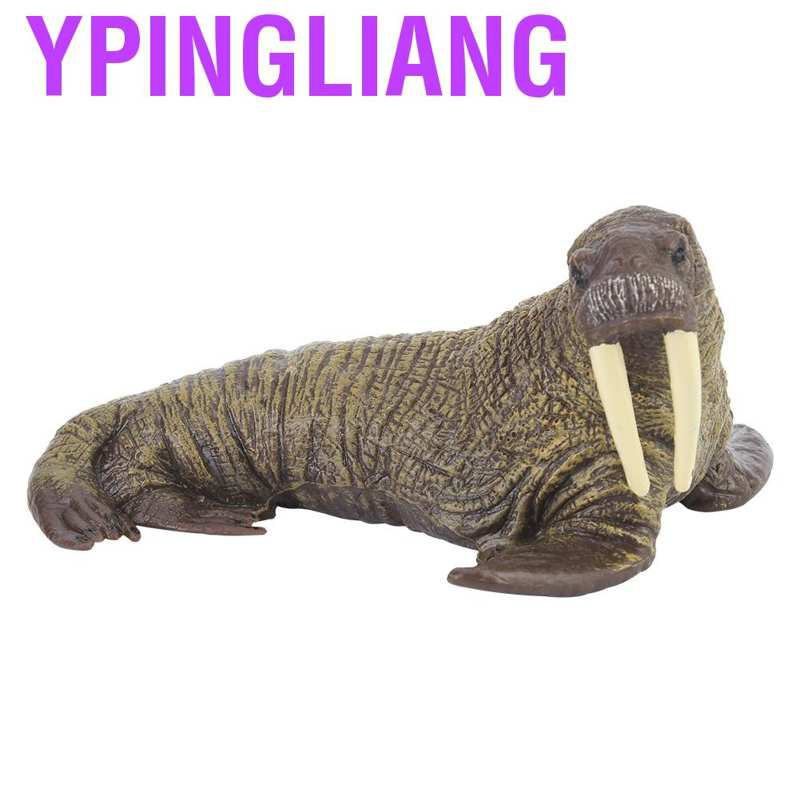 elephant seal stuffed animal