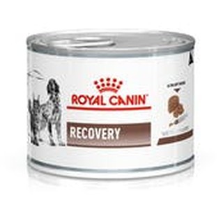 Royal Canin Recovery Canned Wet Food for Dogs and Cats (195g)