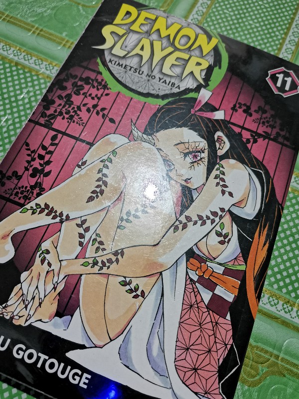 Demon Slayer Kimetsu No Yaiba Manga Vol 1 19 English Shopee Philippines