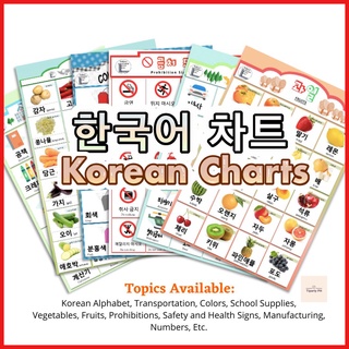 Korean Laminated Chart , Korean Vocabulary for Beginners (A4); Colorful Chart for Easy Memorization