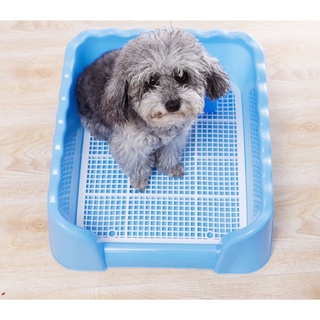[Fat Fat Cute Dog]Dog CR Toilet Training Potty Pad w/ Stand