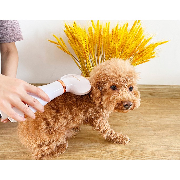 2in1 Portable Pet Dryer Dog Hair Dryer & Comb Pet Grooming Cat Hair Comb Dog Fur Blower Low Noise #6