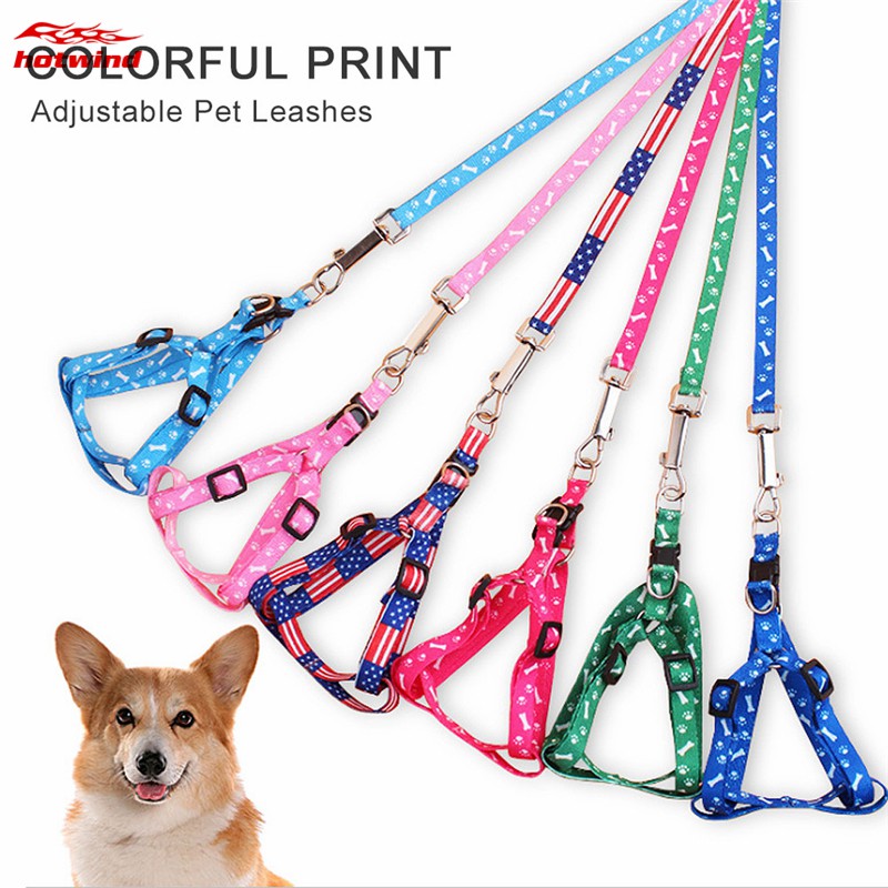 small dog leashes