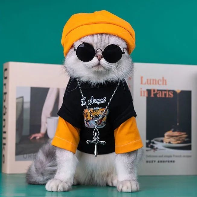【 Free Hat 】 Cat Clothes Spring Autumn New Style Tiger Year Handsome Thin Sweatshirt Small Dog C #1