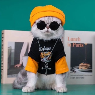 【 Free Hat 】 Cat Clothes Spring Autumn New Style Tiger Year Handsome Thin Sweatshirt Small Dog C #1