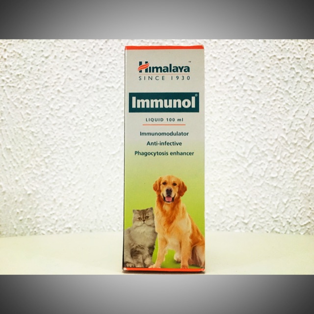 Immunol Syrup | Shopee Philippines