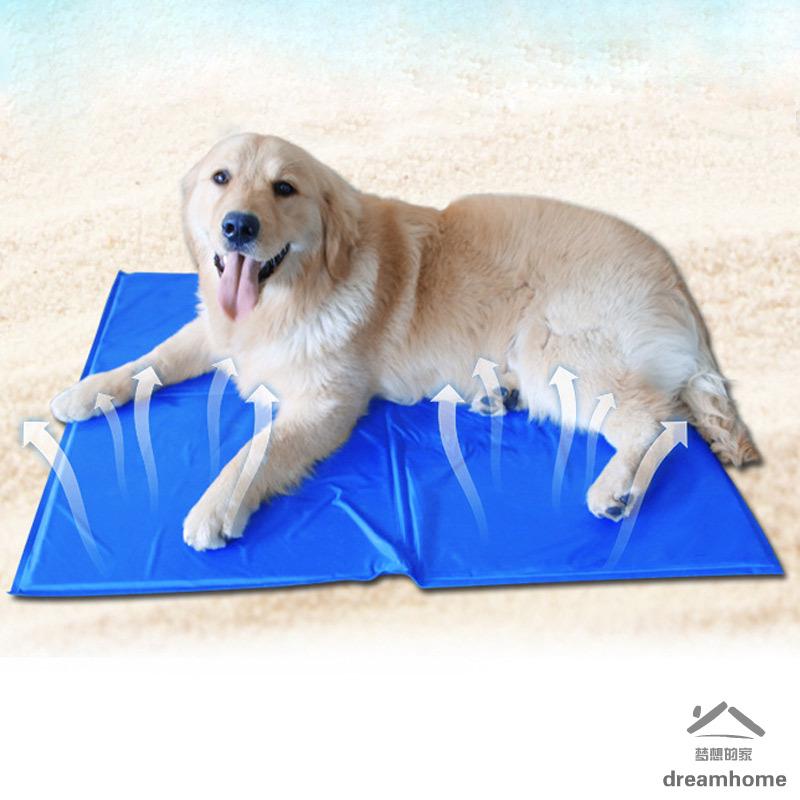 dog cooling mat near me