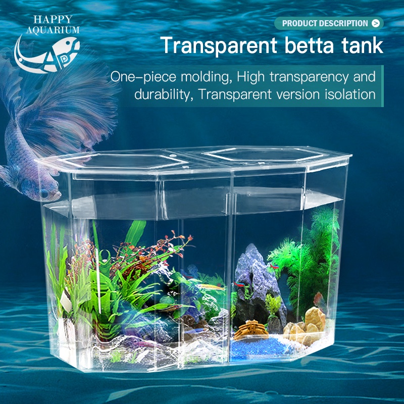 Aquarium Double Betta Fish Tank Dual BettaHex Clear Shopee Philippines