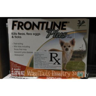 frontline for chihuahuas