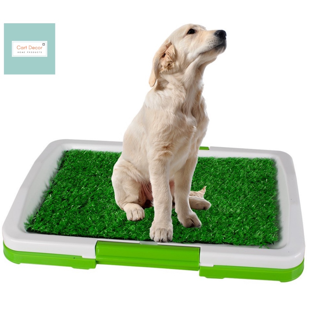 puppy-potty-pad-perfect-pets-indoor-dog-toilet-training-shopee