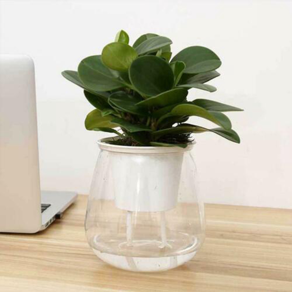 Plant Pot Transparent Self Watering Flower Planting