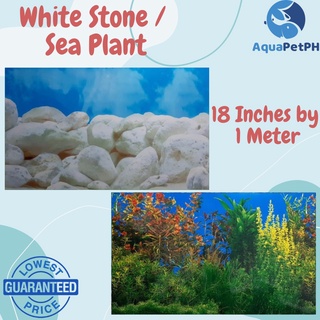 ▲#2 Colorful Aquarium Background Wallpaper 12 / 18 Inches With Back To Back Design - AquaPetPh #4