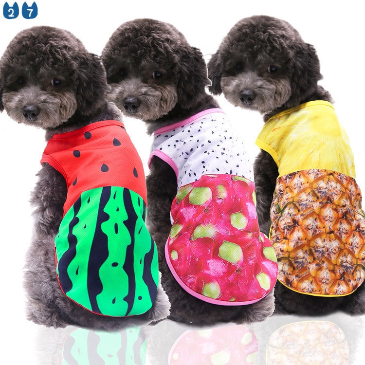 funny puppy clothes