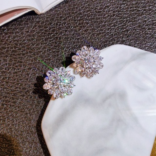 Women's Fashion Earrings, Snowflake Zircon Exquisite Silver Classy 925 Needle Earrings