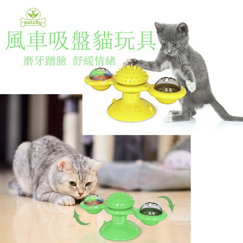 round cat toy