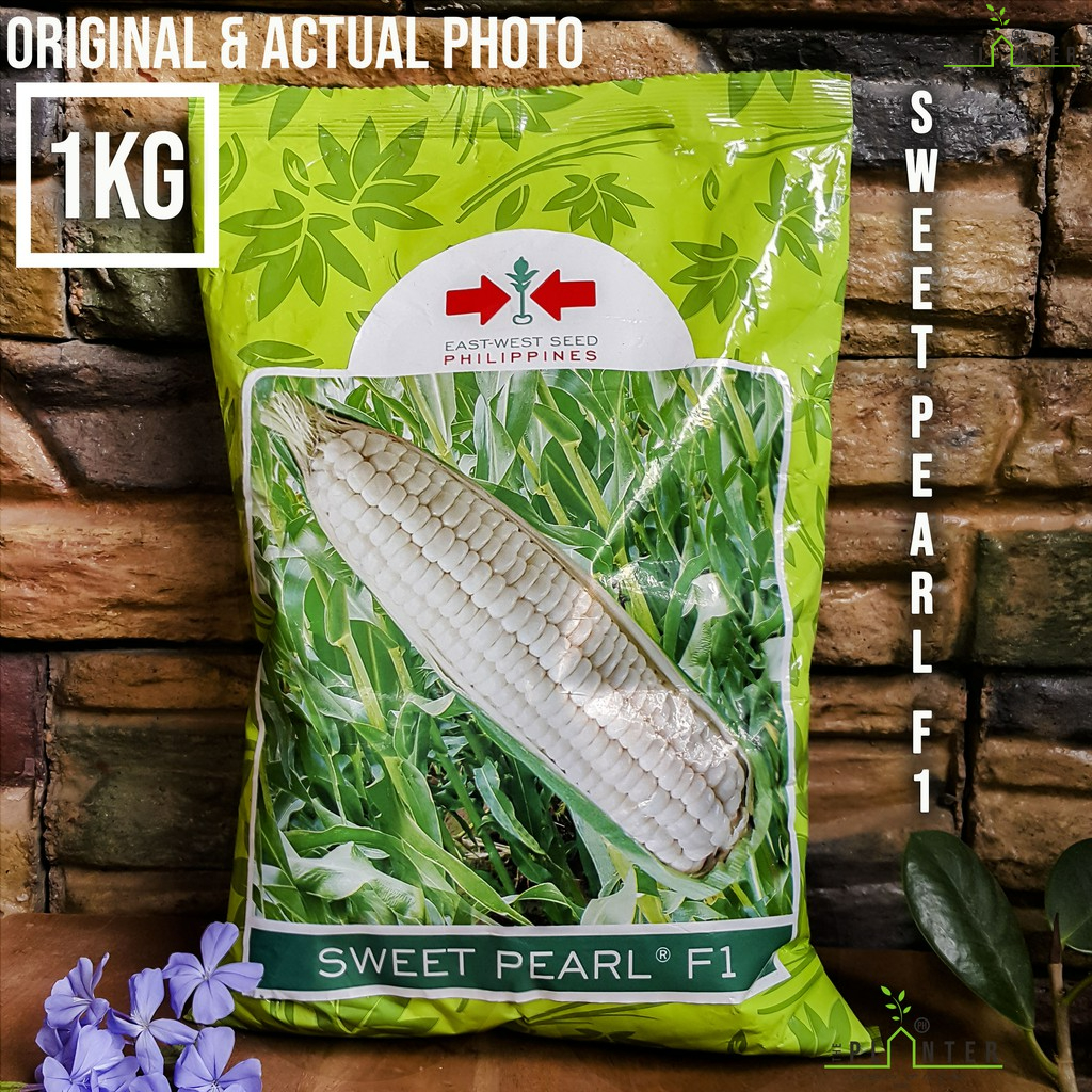 Sweet Pearl F1 1kg Corn East West Seed Original Shopee