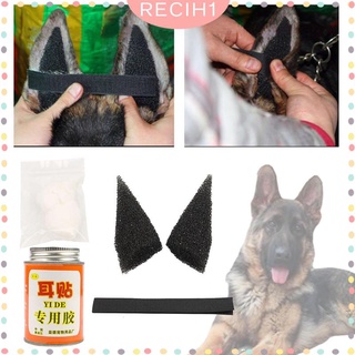 ☢✔[recih] Pet Dog Ear Stand up Sticker Chihuahua German  Medium Large Dog Accessories Doberman Dog E