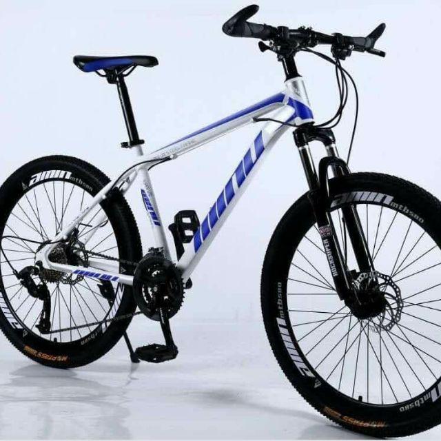 minu mountain bike