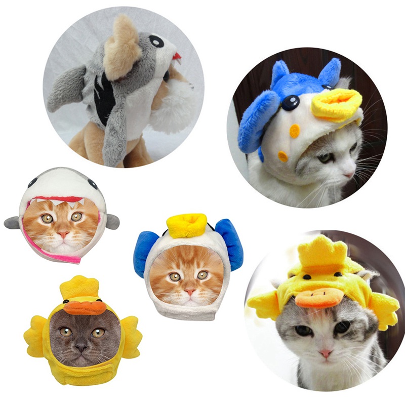 cat and dog accessories