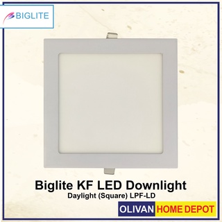 BIGLITE Led Downlight 6, 9, 12, 18 watts Daylight (white) LPF | Shopee ...