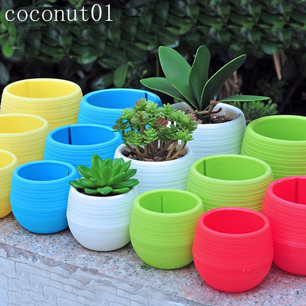  Colorful  Mini Succulent  Cactus Plastic Flower  Pot  Round 