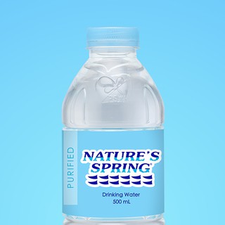 Nature's Spring Purified Water 500 mL | Shopee Philippines