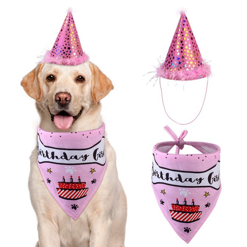small dog birthday hat