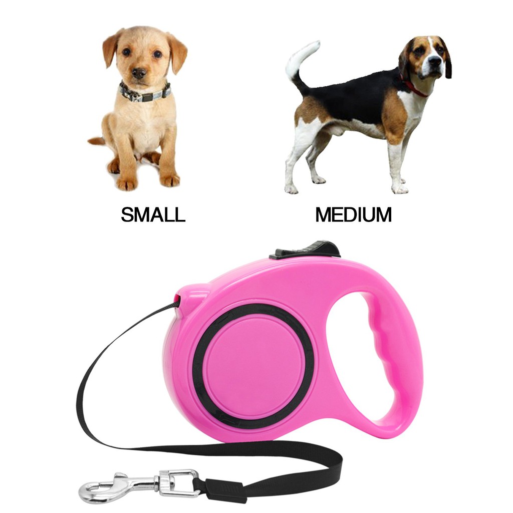 backyard dog leash