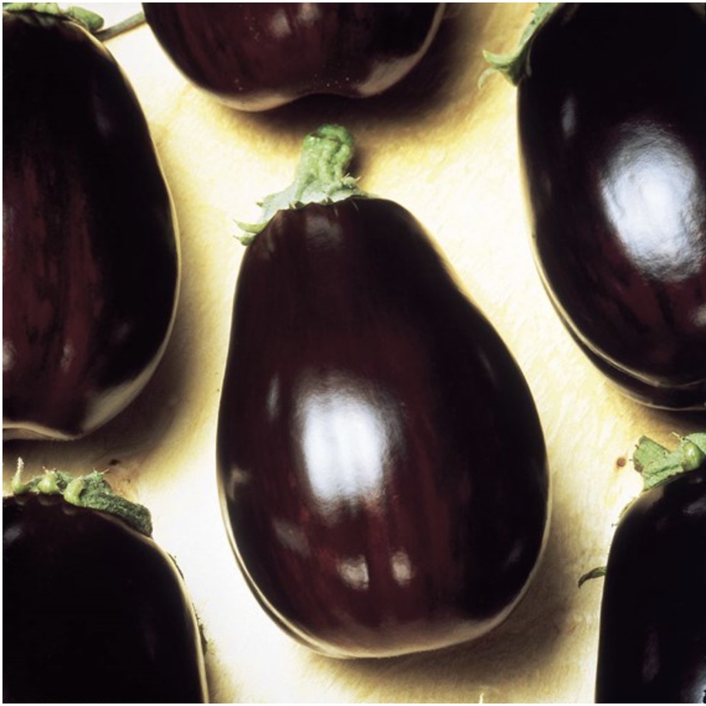 Russian Seeds Eggplant "Diamond" Non GMO.