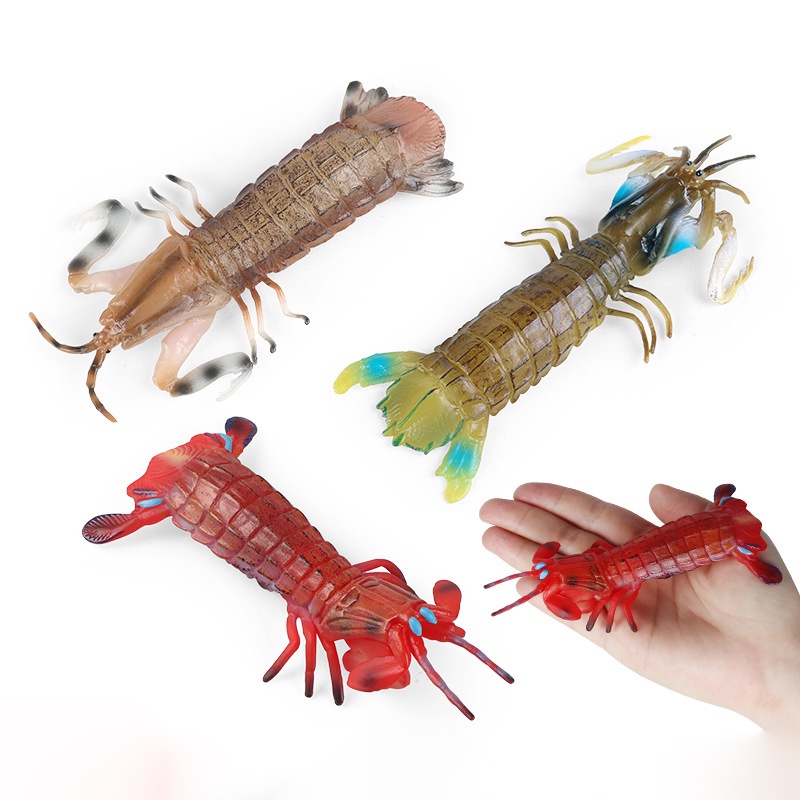 Simulation Solid Marine Life Animal Model Pipi Shrimp Mantis Shrimp ...