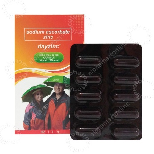 Dayzinc (10 capsules) Shopee Philippines