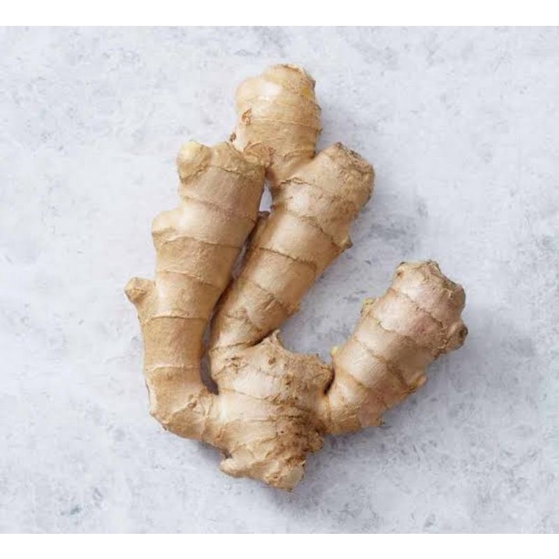 Luya Ginger Premium Quality | Shopee Philippines