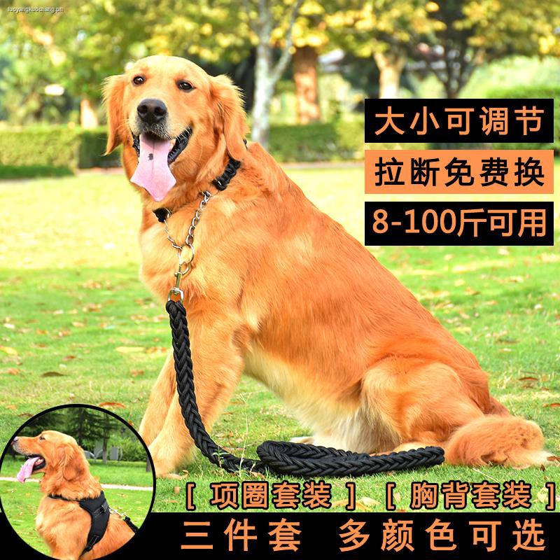 large breed dog leash