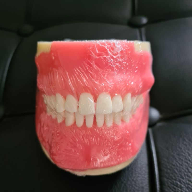 Oral Surgery Articulator (with 3rd molars) read description Shopee Philippines