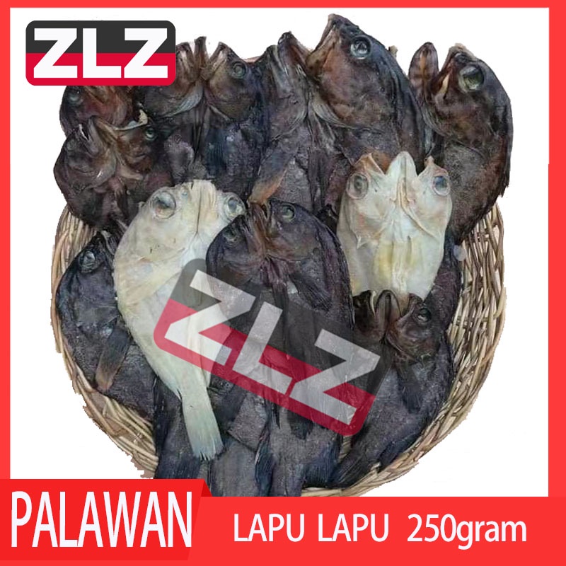 ZLZ tuyo Fresh Dried LAPU LAPU from Palawan Squid shipping from NCR
