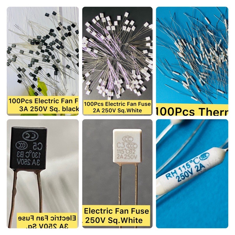 100 Pcs Electric Fan Fuse 2A 250V Shopee Philippines