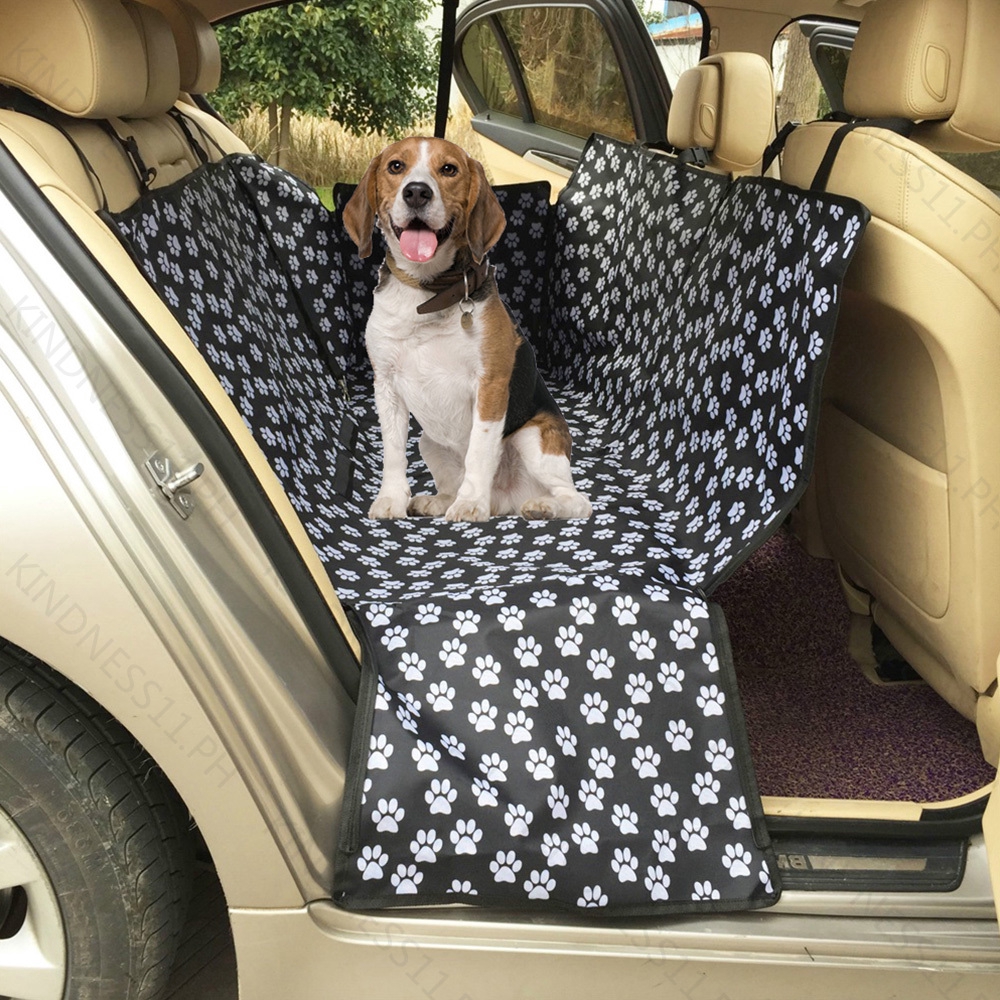 dog car boot