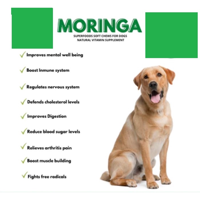 Moringa Powder for Dogs Malunggay Powder for Dogs Overall Health with Vitamins Minerals Food Toppers #7