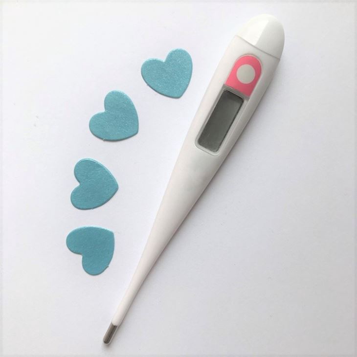 digital basal thermometer