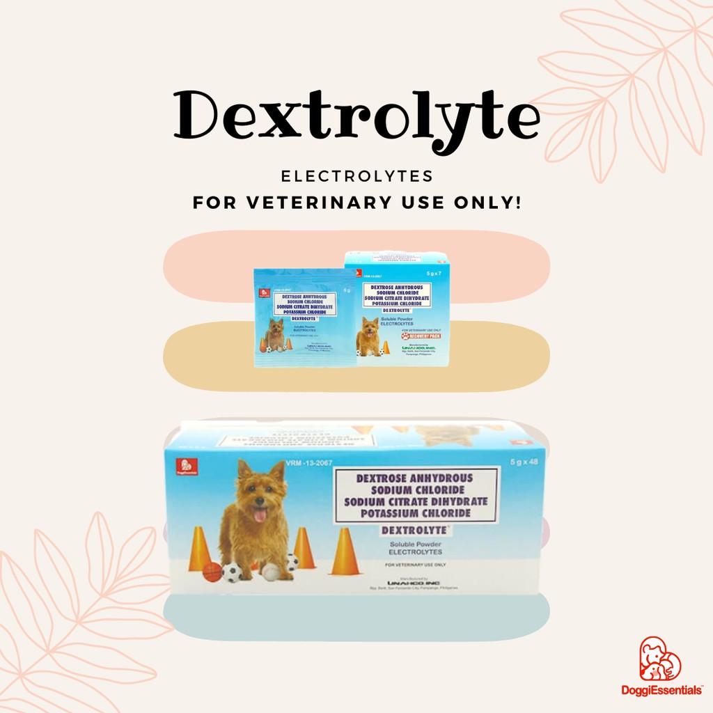 Dextrolyte 5g Sachet Water Soluble Electrolyte For Dogs Shopee