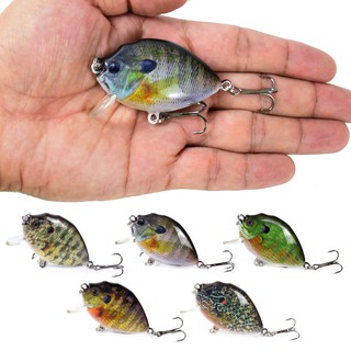 bass fishing tackle box