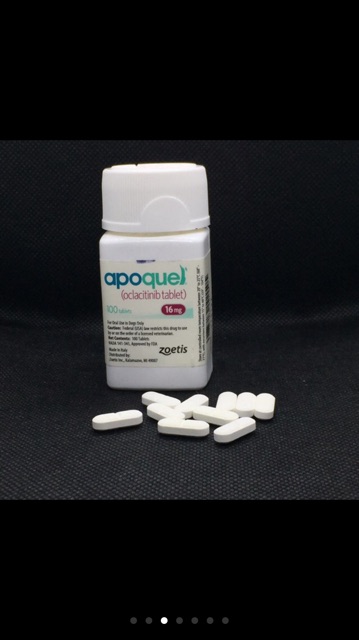 APOQUEL 16 MG SOLD per tablet P200/tab ( strictly w RX ) pack of 7 tablets #3
